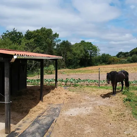 Casa vacanze Ag Casa Branas, En Aldea Rural Gallega *