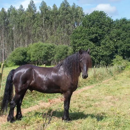 Casa vacanze Ag Casa Branas, En Aldea Rural Gallega