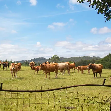 Ag Casa Branas, En Aldea Rural Gallega Aranga