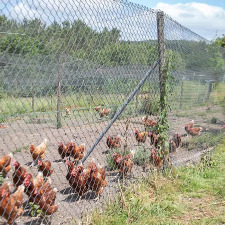 Ag Casa Branas, En Aldea Rural Gallega Aranga