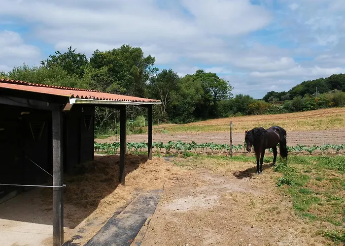 別荘 Ag Casa Branas, En Aldea Rural Gallega *