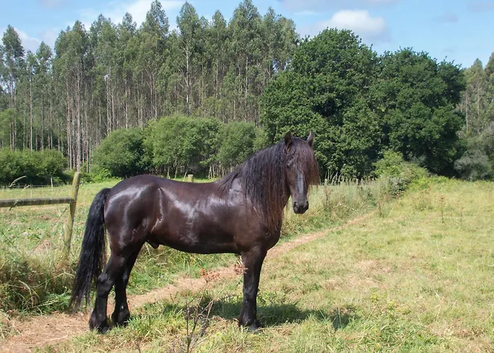 別荘 Ag Casa Branas, En Aldea Rural Gallega
