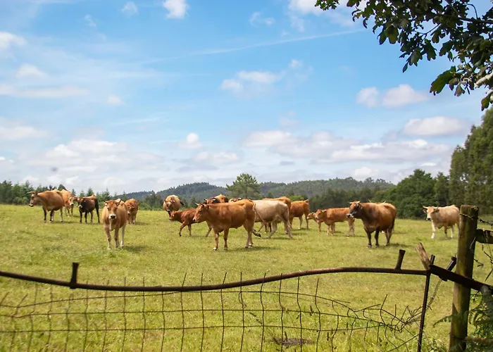 Ag Casa Branas, En Aldea Rural Gallega Aranga