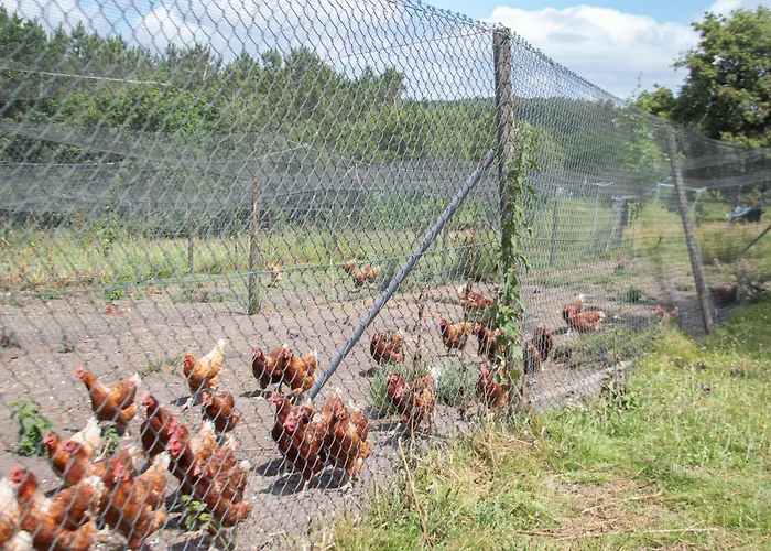 Ag Casa Branas, En Aldea Rural Gallega Aranga