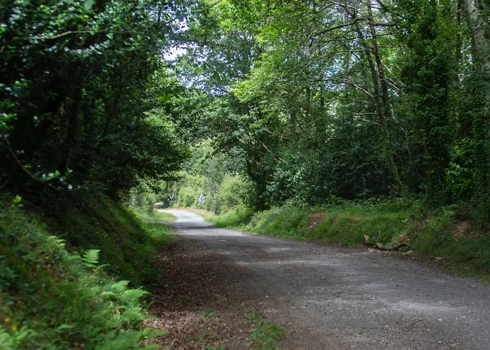 Ag Casa Branas, En Aldea Rural Gallega Aranga
